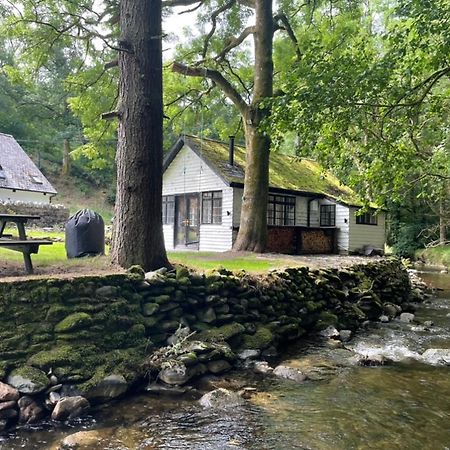Cuckoo Cabin, Tyn Y Cwm Eglwys-Fach Esterno foto