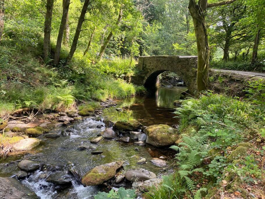 Cuckoo Cabin, Tyn Y Cwm Eglwys-Fach Esterno foto
